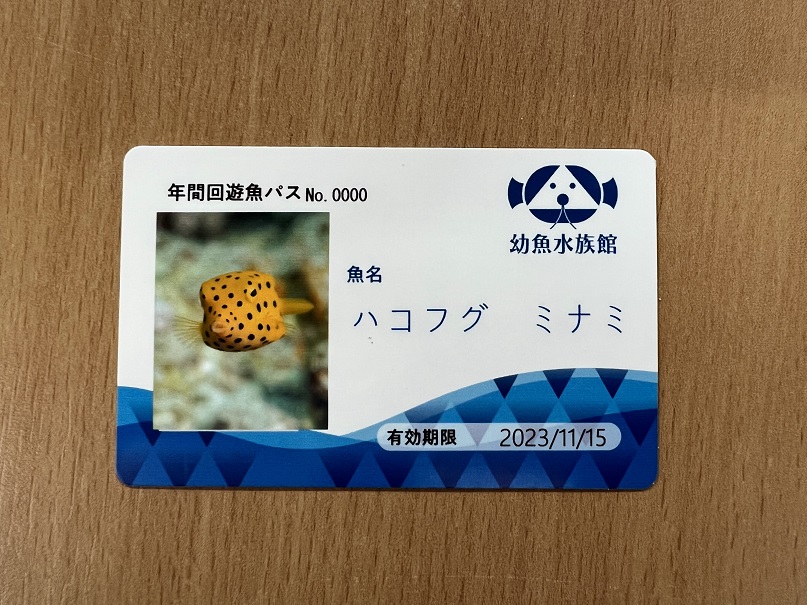 年間パスポート【年間回遊魚パス】始まります！！ | 幼魚水族館