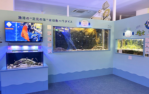 幼魚水族館館内写真