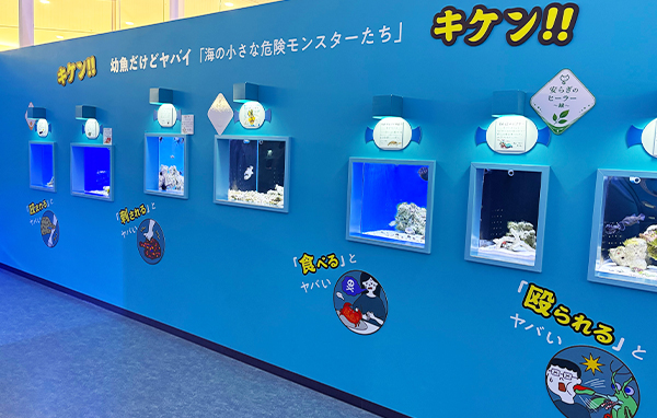 幼魚水族館館内写真1